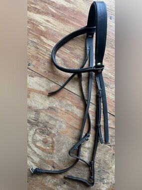 Kieffer and Courbette bridle